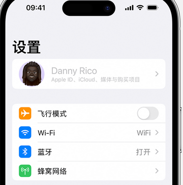 总口管理区appleID维修服务iPhone设置中Apple ID显示为灰色无法使用