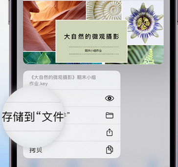 总口管理区apple维修中心分享iPhone文件应用中存储和找到下载文件