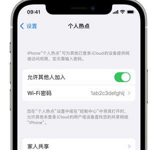 总口管理区apple服务站点分享iPhone上个人热点丢失了怎么办 