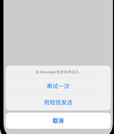 总口管理区apple维修iPhone上无法正常发送iMessage信息