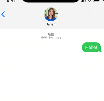 总口管理区apple维修iPhone上无法正常发送iMessage信息