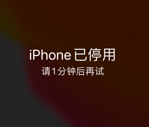 总口管理区苹果手机维修分享:iPhone 显示“不可用”或“已停用”怎么办？还能保留数据吗？ 