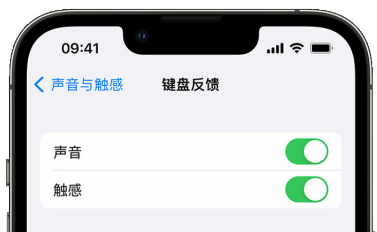 总口管理区苹果手机维修分享iPhone 14触感键盘使用方法 