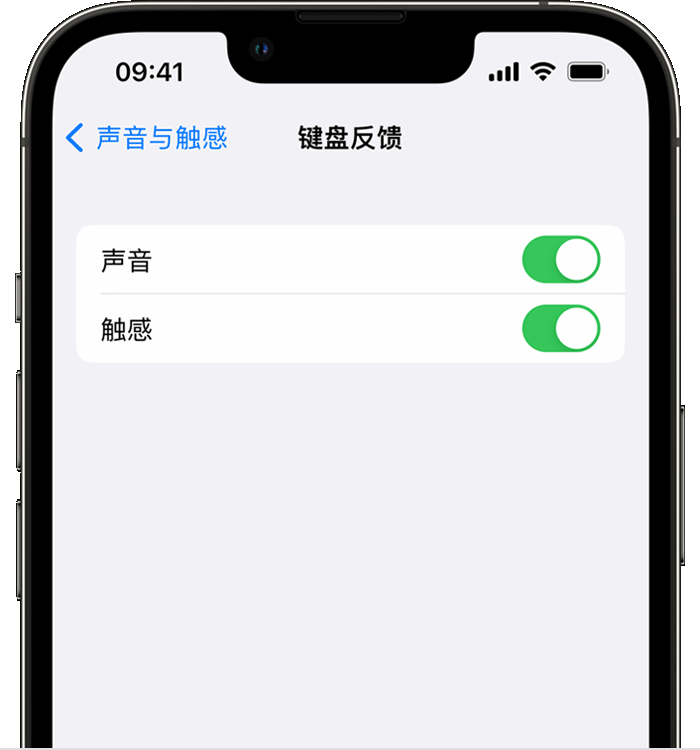 总口管理区苹果14维修店分享如何在 iPhone 14 机型中使用触感键盘 