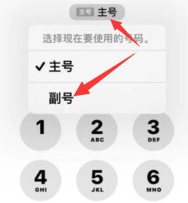 总口管理区苹果14维修店分享iPhone 14 Pro Max使用副卡打电话的方法 