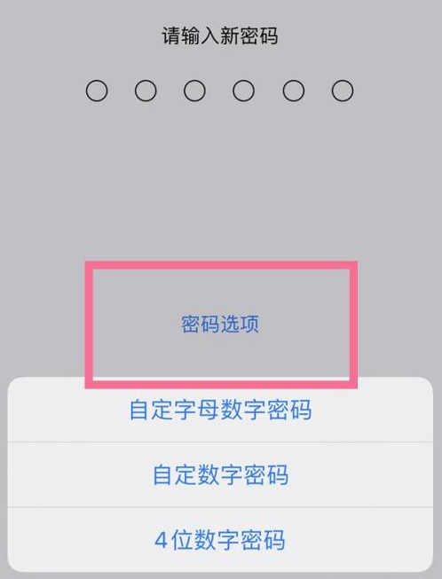 总口管理区苹果14维修分享iPhone 14plus设置密码的方法 