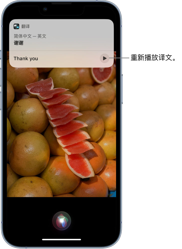 总口管理区苹果14维修分享 iPhone 14 机型中使用 Siri：了解 Siri 能帮你做什么 