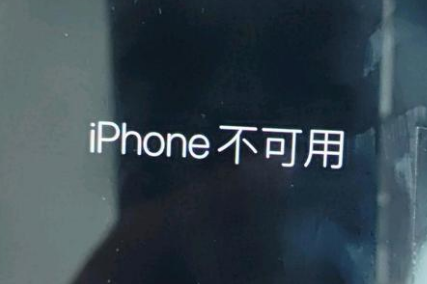 总口管理区苹果服务网点分享锁屏界面显示“iPhone 不可用”如何解决 