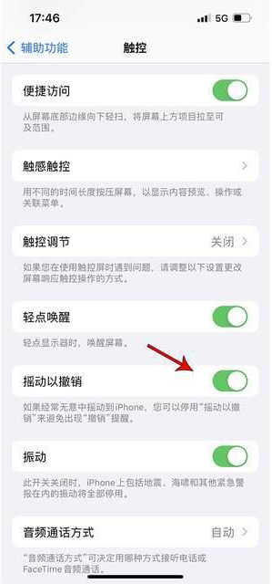 总口管理区苹果手机维修分享iPhone手机如何设置摇一摇删除文字 