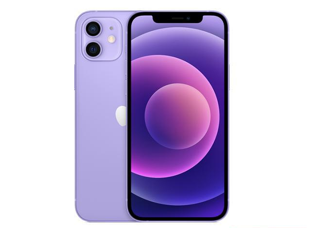 总口管理区苹果手机维修分享现阶段要不要入手紫色版iPhone12 