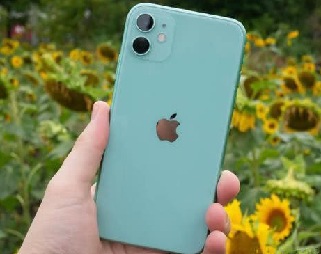 总口管理区苹果维修点分享iPhone 11锁屏密码认知与使用科普 